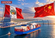 Perú y China: optimización del TLC potenciaría al menos a estos 3 sectores