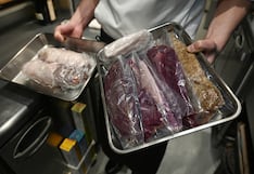 Osos en Japón desatan fiebre culinaria: de depredador a plato suculento