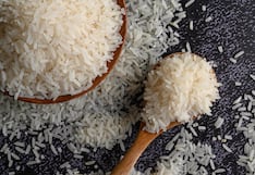 Ecuador y Colombia tensan con aranceles el mercado de arroz: ¿Perú ve su oportunidad?