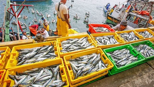 Produce: Próximamente se anunciarán medidas del sector pesquero incluidas en Reactiva Perú