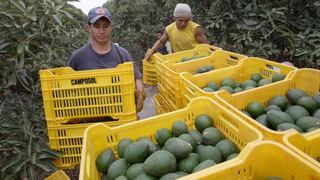 Precios al por mayor a nivel nacional subieron 0.06% en abril