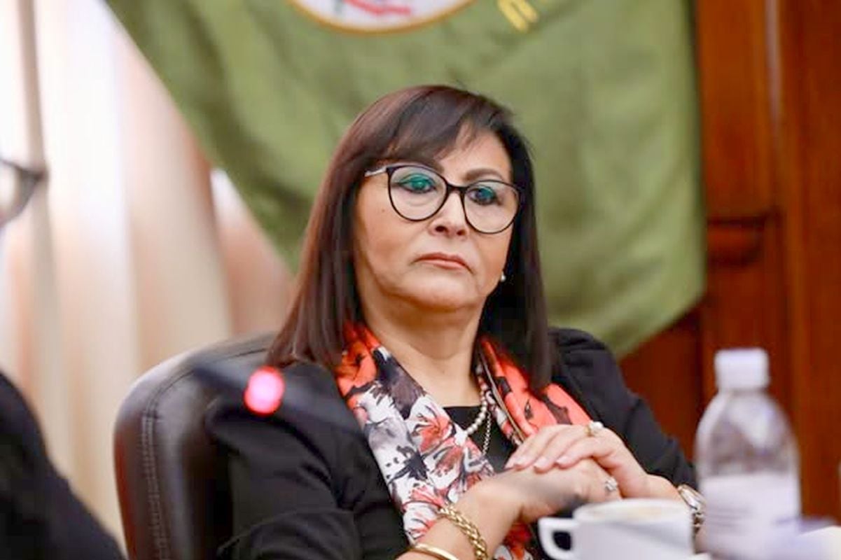 La Comisión de Ética investigará a Milagros Jáuregui por la difusión de imágenes en las que se observaría en actos públicos a menores víctimas de abuso sexual vinculadas al albergue La Casa del Padre. Foto: Congreso.