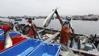 Produce amplia edad para créditos a pescadores artesanales y acuicultores: ¿cuál es?