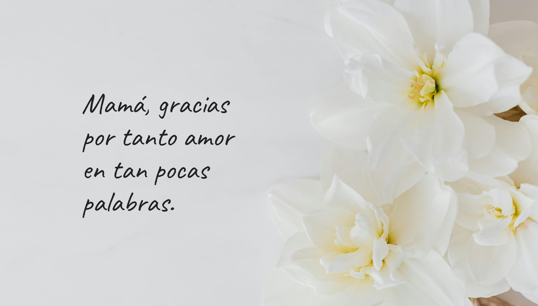 Comparte frases del Día de la Madre y sorprende a mamá con un mensaje lleno de emoción. | Crédito: Pexels / Gestión Mix