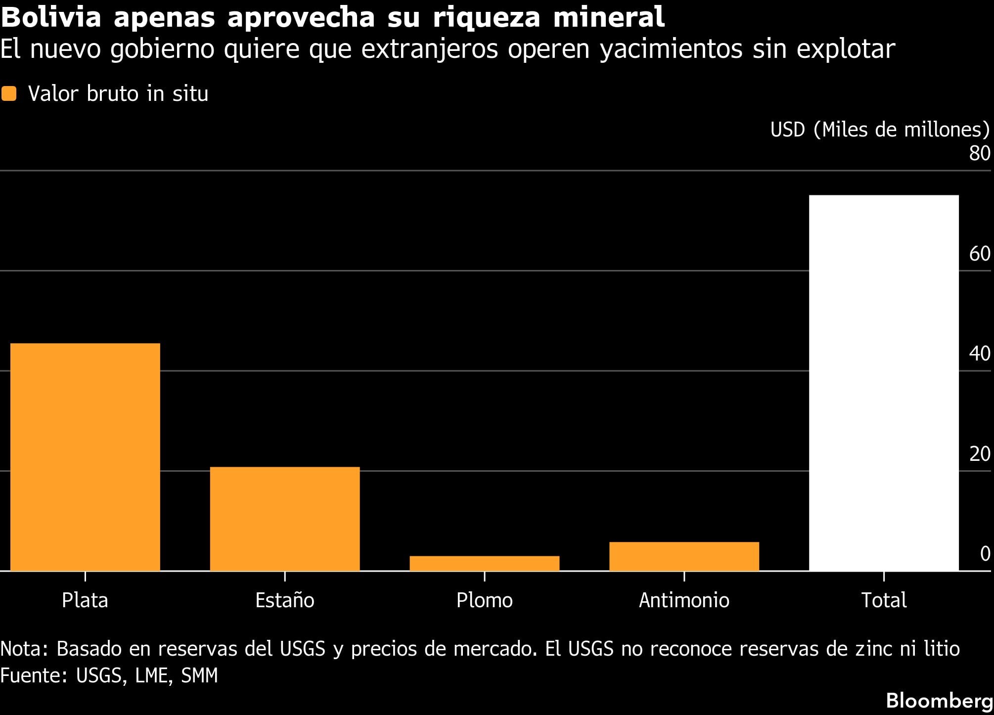 Bolivia apenas aprovecha su riqueza mineral | El nuevo gobierno quiere que extranjeros operen yacimientos sin explotar