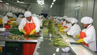 Empresas peruanas captarían más de US$ 100 millones durante Fruit Logistica 2015