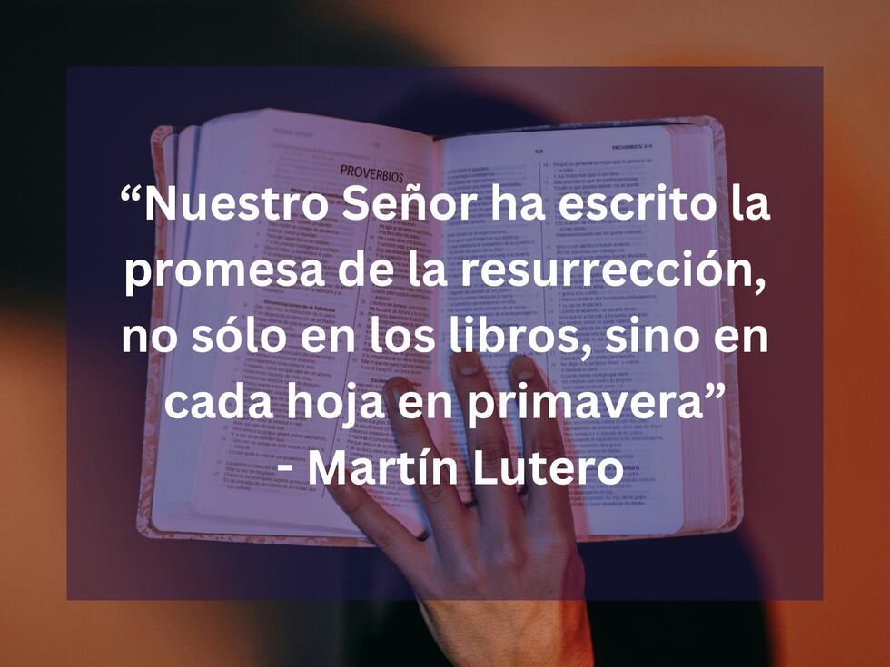"Nuestro Señor ha escrito la promesa de la resurrección, no sólo en los libros, sino en cada hoja en primavera" - Martín Lutero. | Crédito: Foto de Luis Quintero en Pexels / Composición Mix
