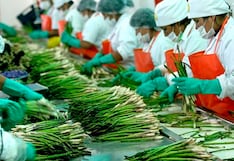 Trabajadores en agroindustria contarían con más posibilidades de salir de la pobreza