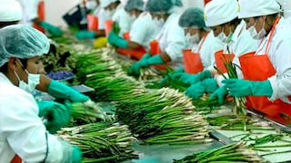 Trabajadores en agroindustria contarían con más posibilidades de salir de la pobreza