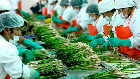 La agroindustria cerró el 2025 con envíos de hasta US$14,000 millones. (Foto: archivo)