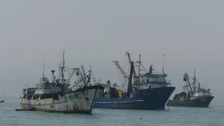 Produce fijará franjas de pesca de anchoveta en la zona sur de Perú