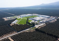 Grupo Virú estima ligero aumento de producción de palta por nuevos campos en Paramonga