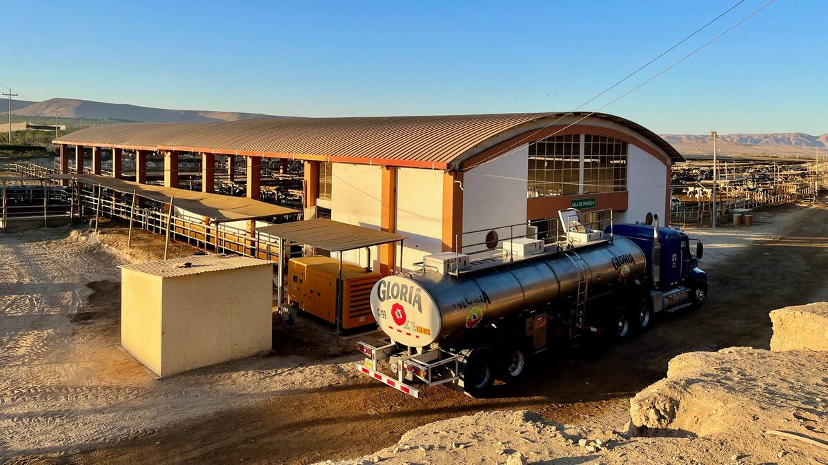 Pampa Baja y su plan para elevar distribución de leche a Grupo Gloria: el factor FEN