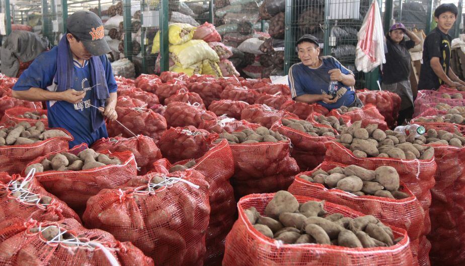 Papa blanca. (Foto: USI)