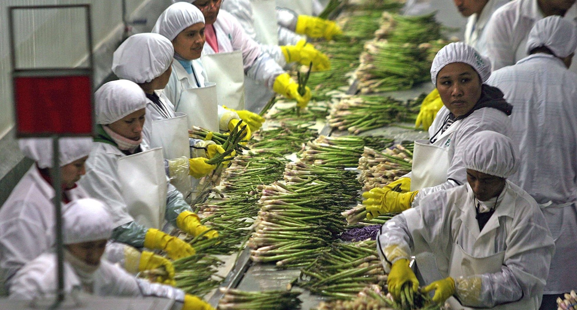 FOTO | ¿En qué productos agrícolas Perú será líder de las exportaciones mundiales? . (Foto: Andina)