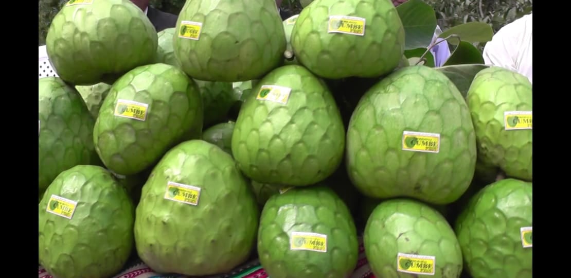 Estco realiza envíos semanales de entre dos y tres pallets de frutas exóticas hacia mercados europeos. (Foto: Roxana López)