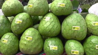 Estco saca jugo a frutas exóticas: a la conquista de nichos de mercado en Europa y Canadá