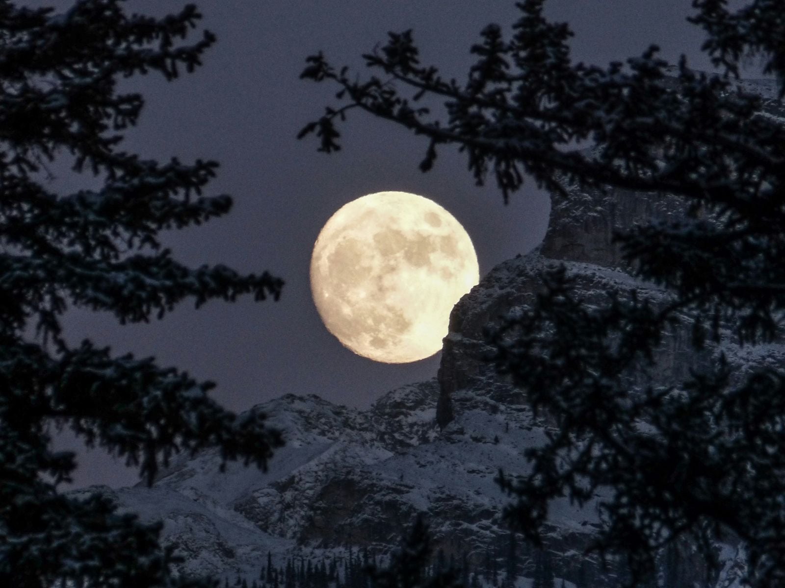 ¡Disfruta la Luna de Nieve en vivo! Observa la segunda luna llena del año online. Te mostramos cómo verla desde cualquier lugar. | Crédito: Foto de Kym MacKinnon en Unsplash