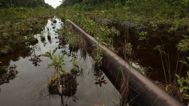 OEFA confirma un nuevo derrame de hidrocarburos en la selva peruana