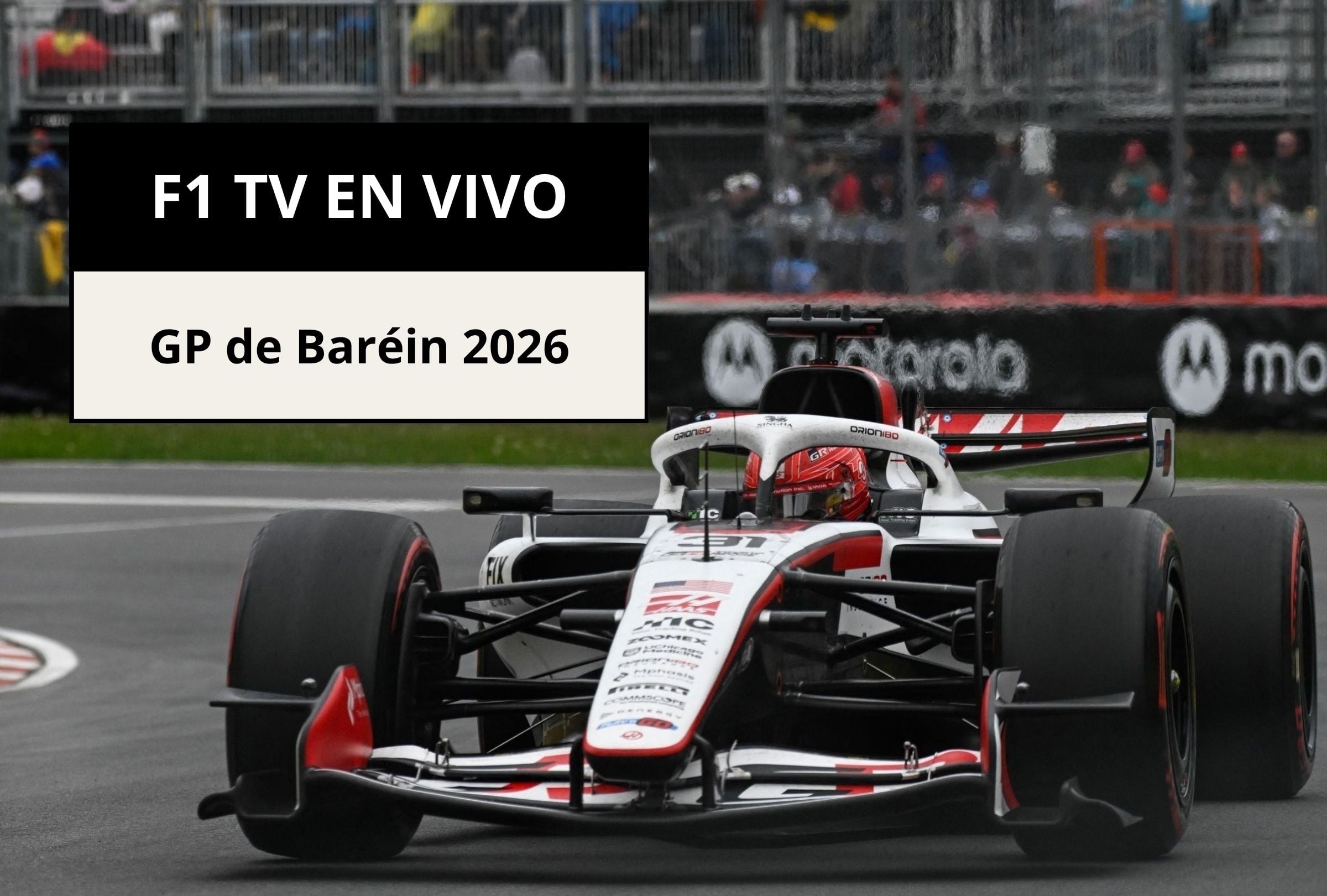 Revisa esta nota para que sepas cómo ver EN VIVO la carrera del GP de Baréin 2026 por F1 TV. (Foto: ANDREJ IVANOV / AFP y Composición Canva - Depor)