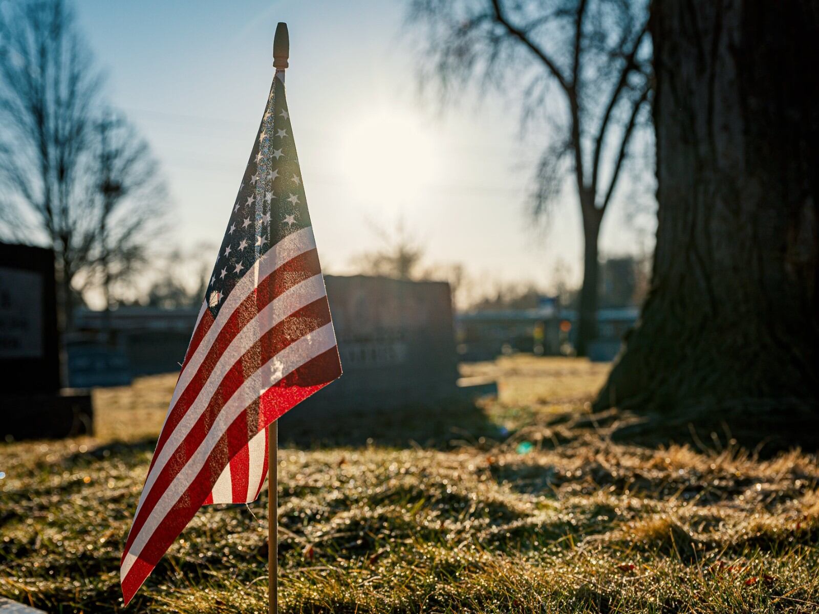 Familiares de los Veteranos fallecidos no quedarán sin protección (Foto: Pexels)