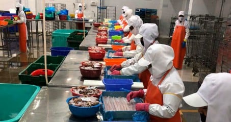 Sakana del Perú es parte del grupo japonés Maruha Nichiro Corporation, con presencia en el Perú desde 1960. (Foto: ADEX).