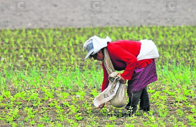 Huancavelica se ubica como una de las regiones que mostraron los resultados más bajos en competitividad este año.
