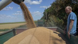 ONU exportará 30,000 toneladas de trigo ucraniano contra crisis alimentaria