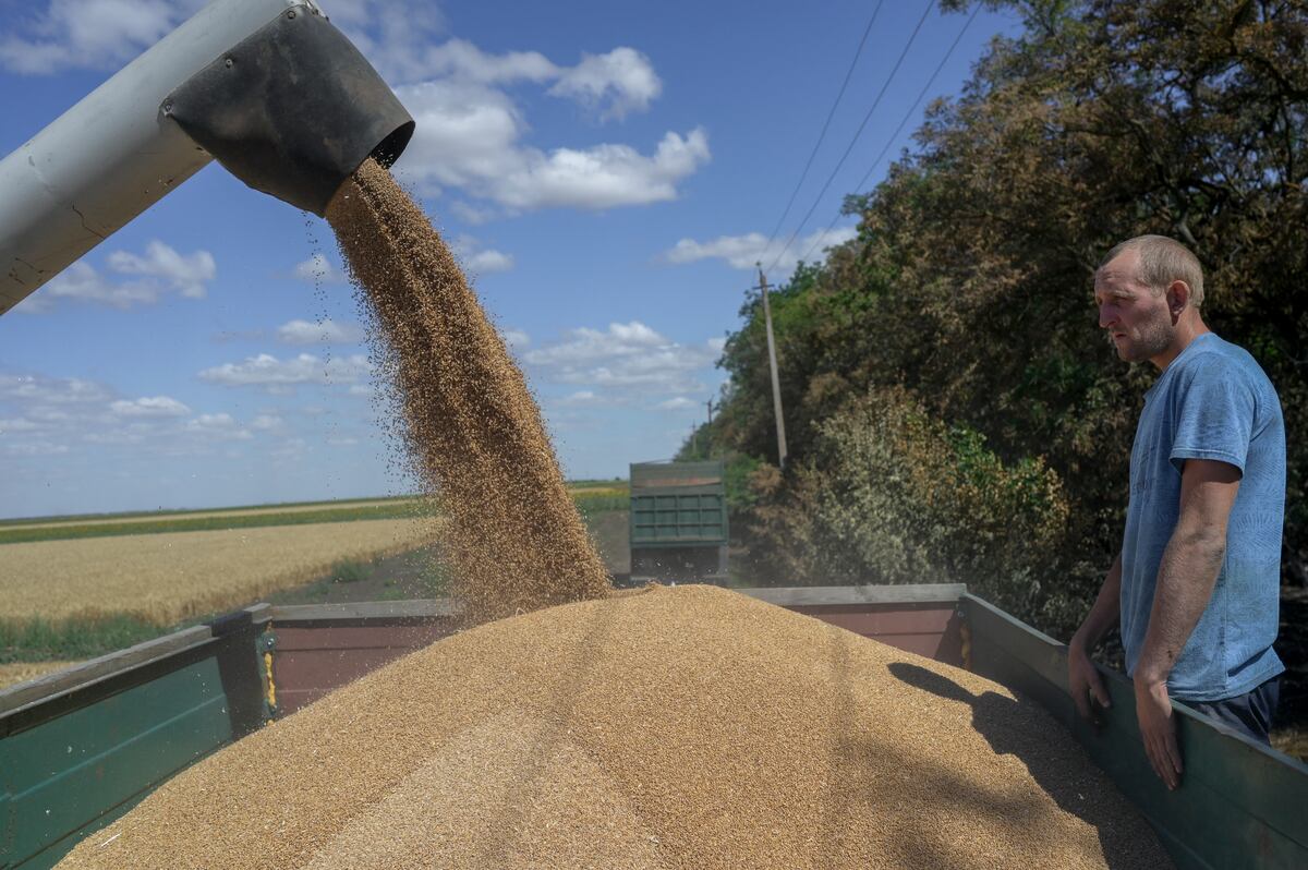 El buque que zarpó este lunes del puerto de Odesa, en el mar Negro, es el primero que se beneficia del acuerdo para desbloquear las exportaciones alimentarias ucranianas. (Foto: BULENT KILIC / AFP).