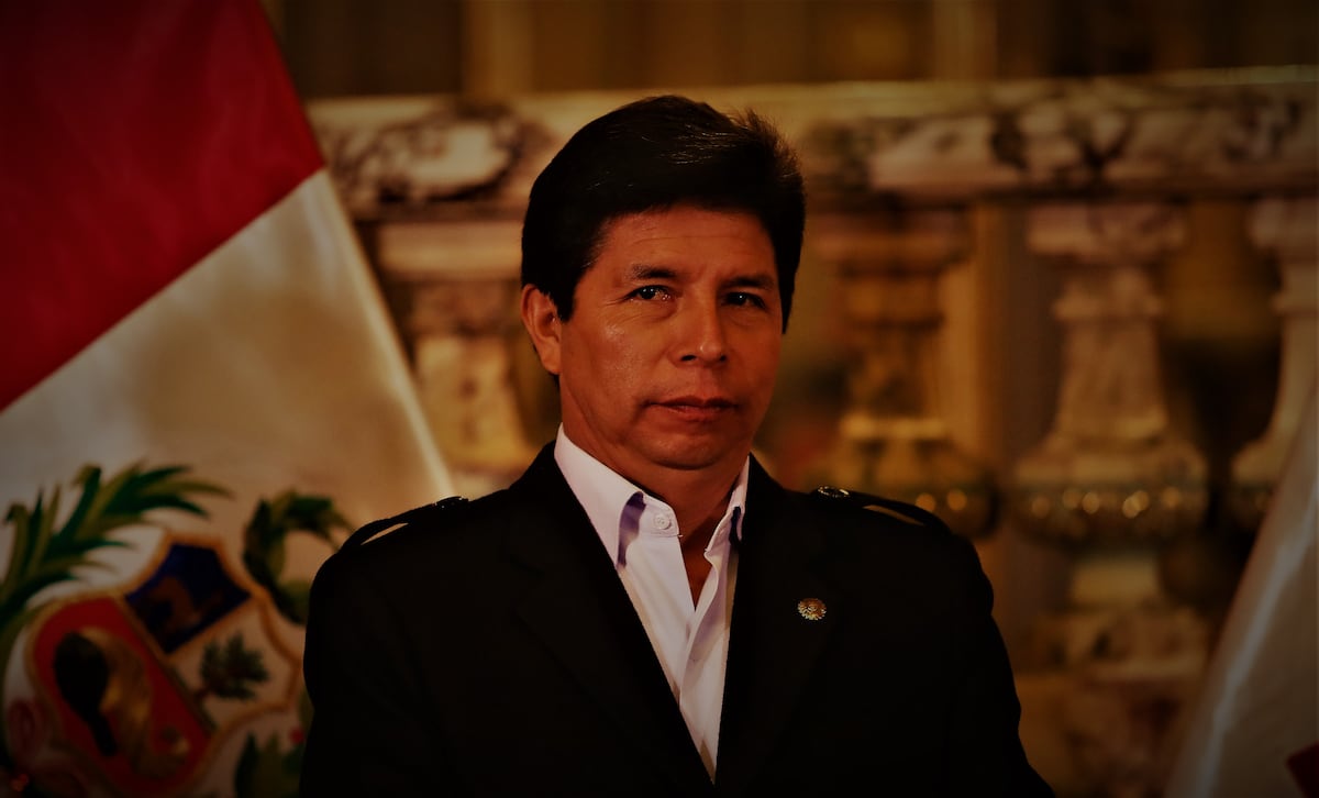 En paralelo al proceso judicial, el Congreso tramita un informe que busca inhabilitar a Castillo por 10 años para ejercer cargos públicos. Foto: GEC