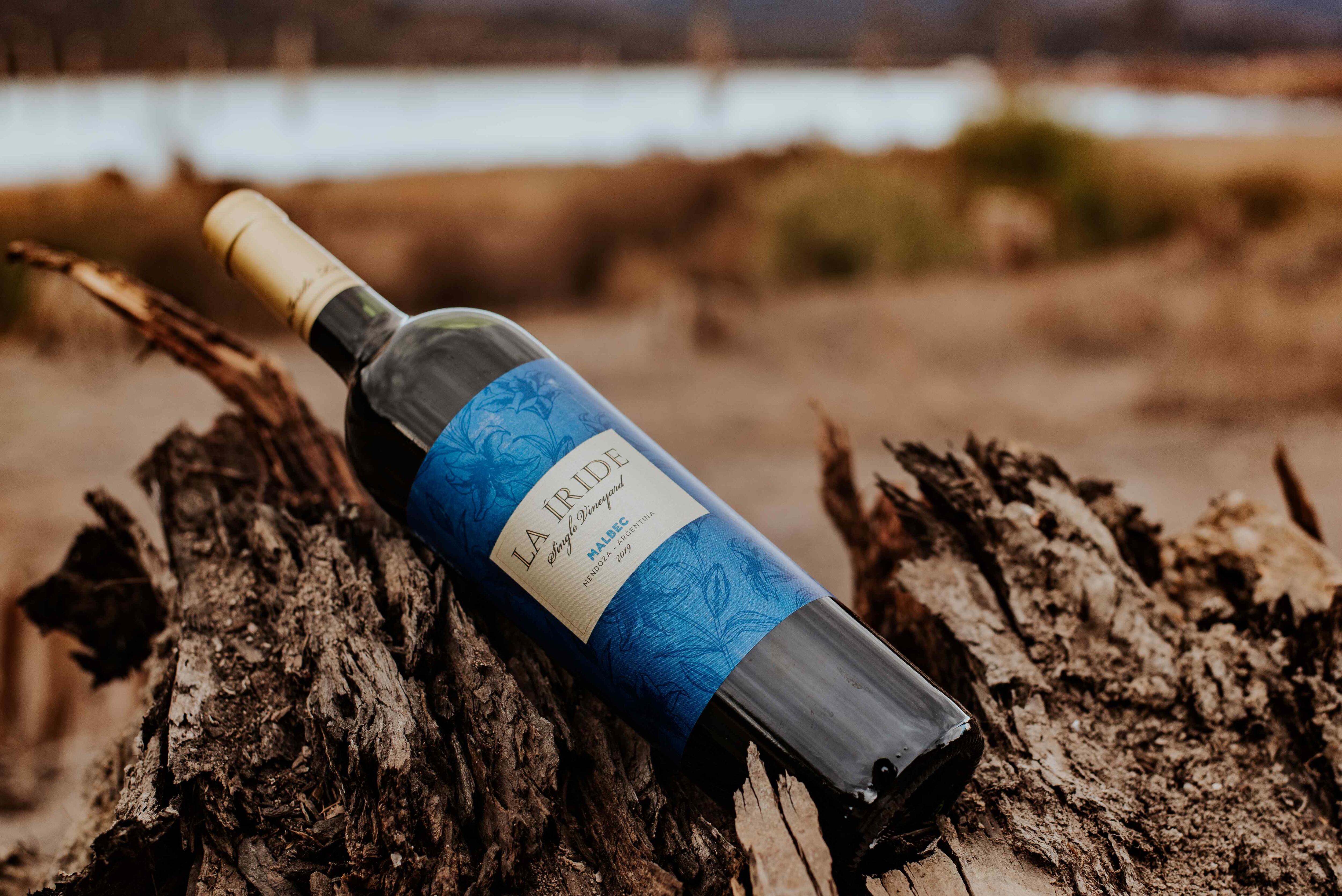 La Íride es una bodega argentina que surge en el 2004, con foco en la exportación. (Foto: La Íride)