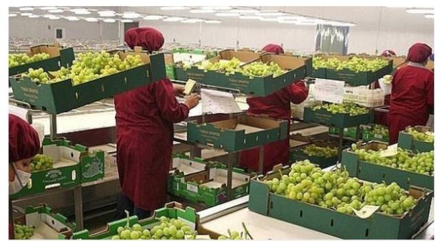 Mincetur: Ventas de frutas y hortalizas frescas al exterior se reducirían en US$ 21 millones por día de protesta