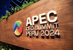 Los sectores con mayor proyección tras los acuerdos y convenios logrados en APEC