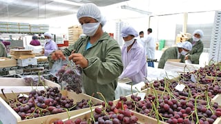 Midagri pide a China abrir su mercado a nueva oferta peruana, ¿para qué productos?