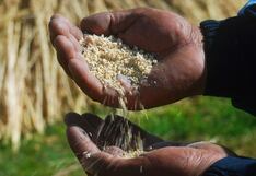 Carmen Vegas es designada viceministra de Políticas y Supervisión del Desarrollo Agrario: su perfil