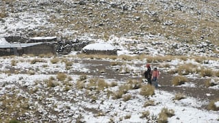 Más de 100 distritos en riesgo por descenso de temperatura: ¿en qué regiones están?