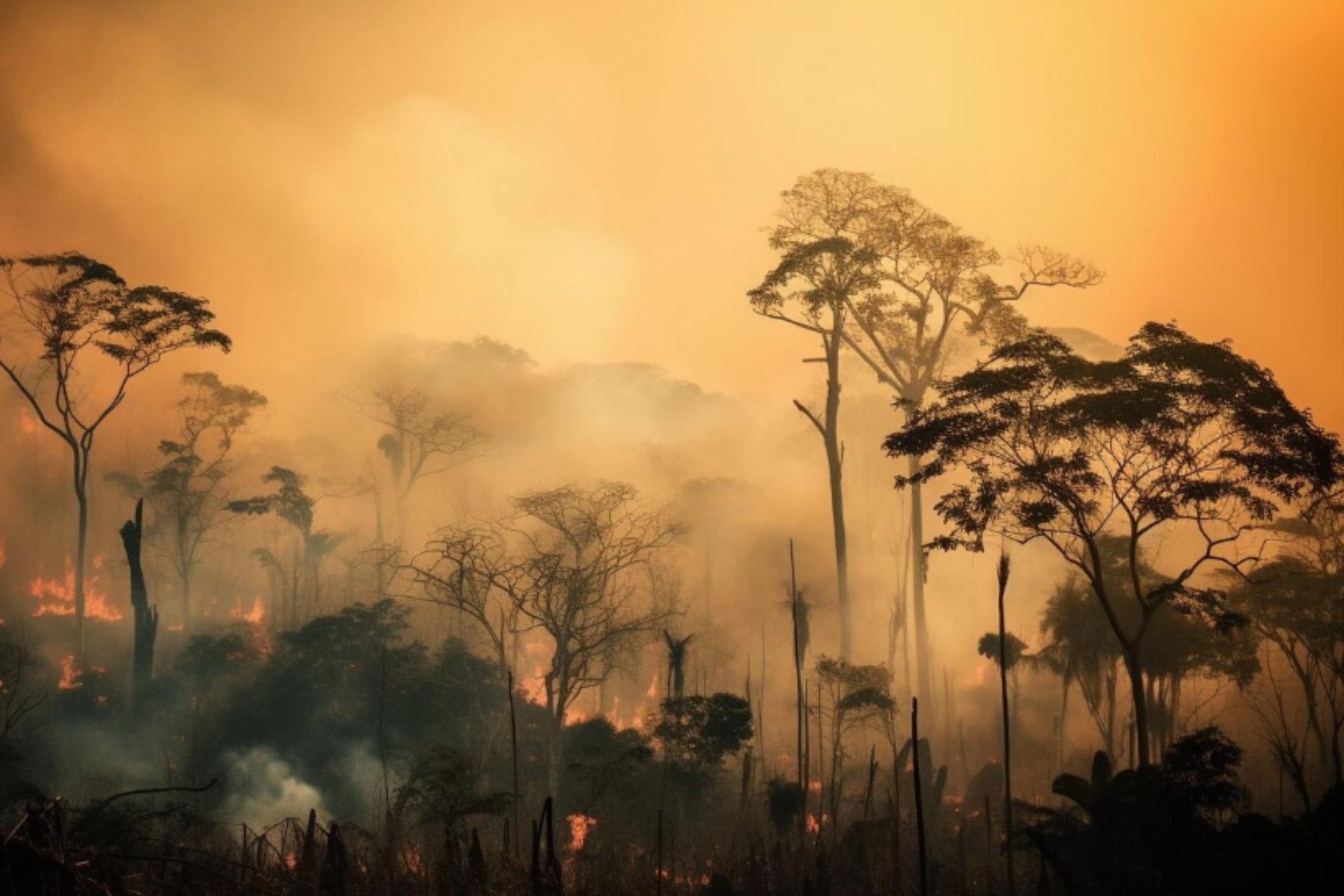 El humo de los incendios está afectando la calidad de aire de varias ciudades estadounidenses. (Crédito: Magnific / Imagen referencial)