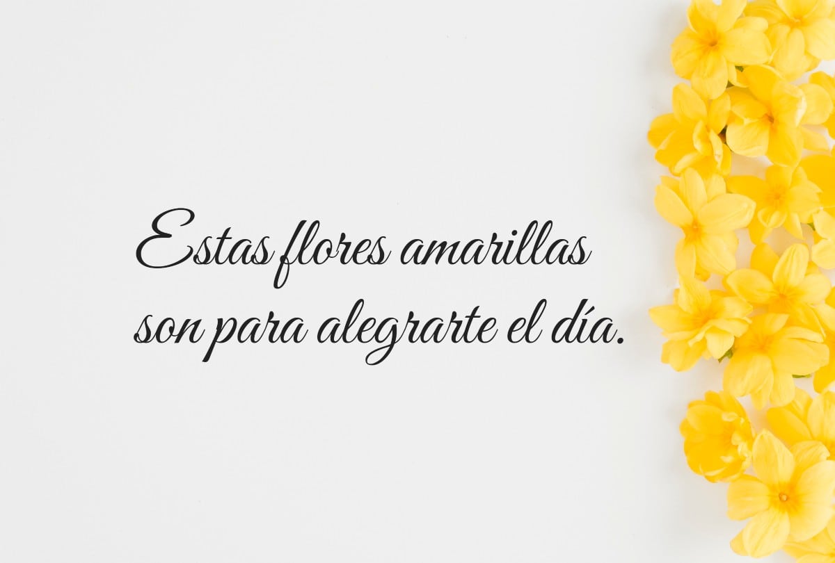 Las frases más bonitas para flores amarillas hacen único tu 21 de marzo. | Crédito: Composición Gestión Mix / Freepik