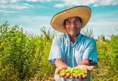 Tres regiones inician el año en negativo, ¿podrá revertirse este 2024?