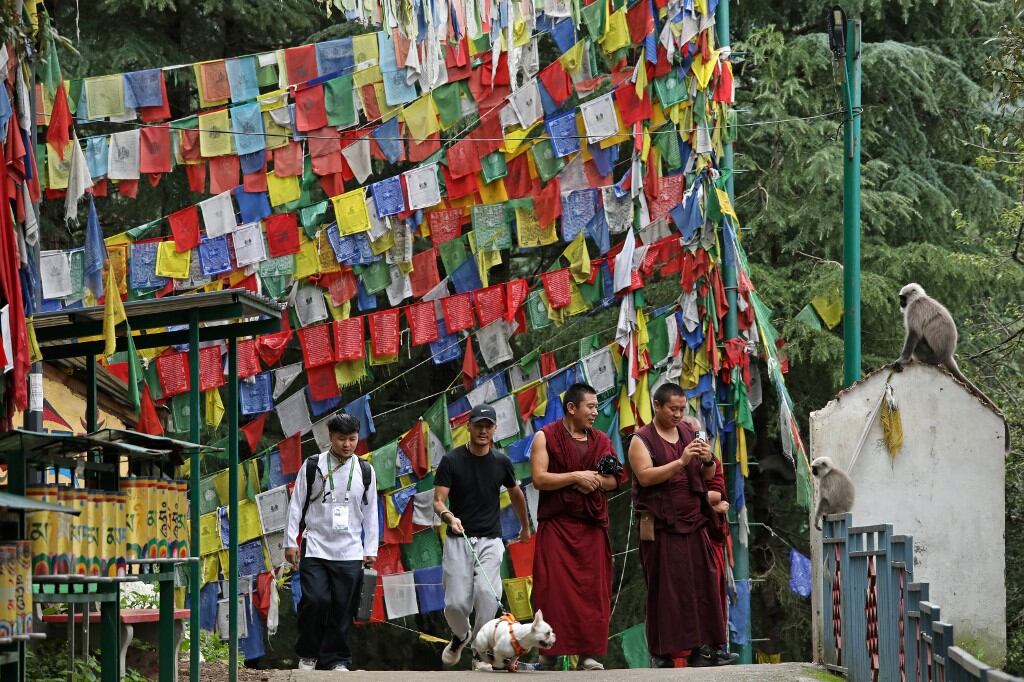 Monjes tibetanos toman fotografías de monos langur cerca de banderas de oración budistas, desplegadas en una calle de McLeod Ganj, cerca de Dharamsala, el 2 de julio de 2025. (Foto de Sanjay BAID / AFP)