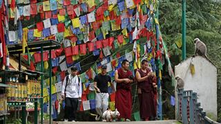 La economía de la fe: futuro de Dharamshala depende de dónde renazca el dalái lama