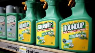 Juez de EE.UU. reduce indemnización de Monsanto por un caso del Roundup