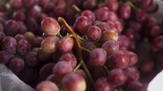 Mincetur: Exportaciones alcanzaron US$ 4 998 millones durante julio