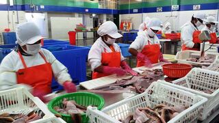 Empleo en exportaciones: ¿qué regiones generaron más puestos durante el 2023?