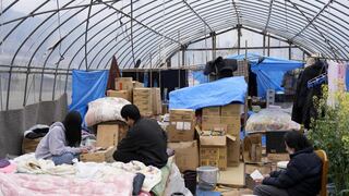 Un invernadero como nuevo hogar para desplazados por el terremoto de Japón