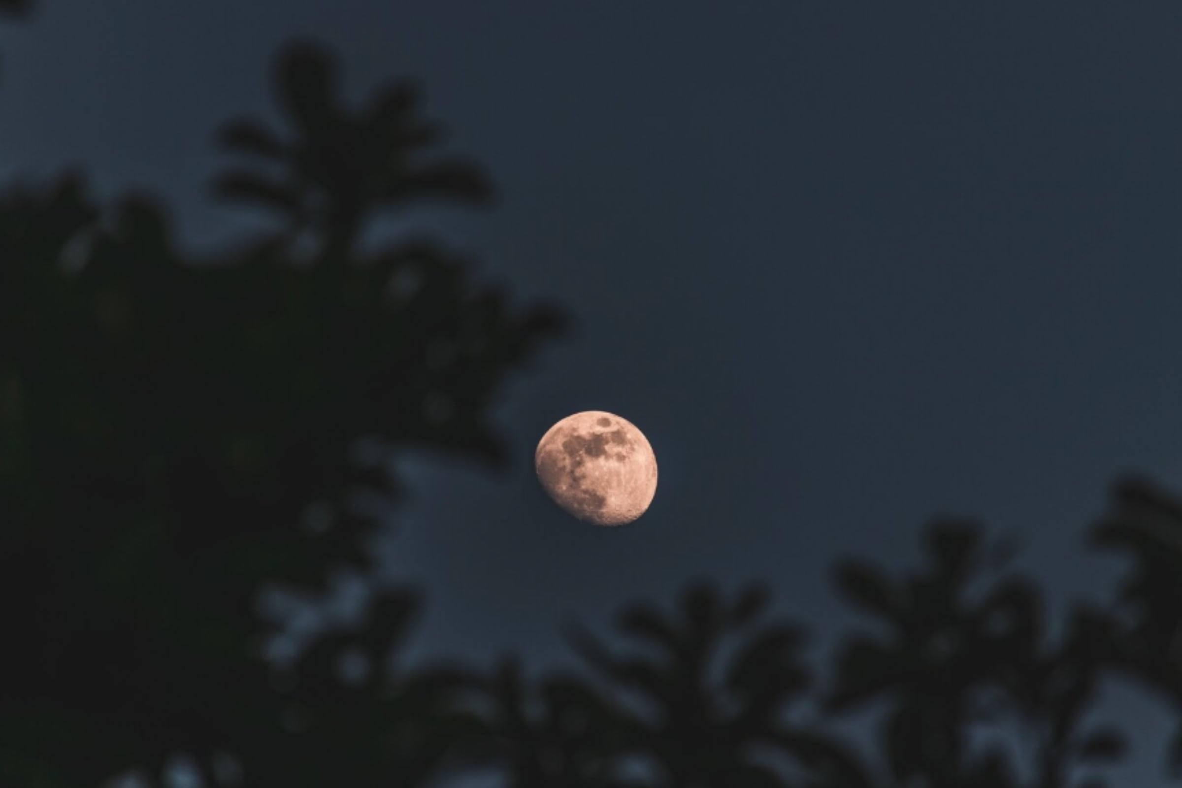 La luna se podrá apreciar con facilidad en las fechas señaladas. (Crédito: Magnific / Imagen referencial)