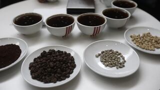 Café peruano: producción crecería hasta 8% en 2019, pero continuará en pérdida