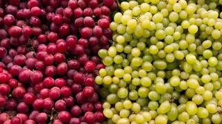 Producción peruana de uva crecerá este año hasta 470,000 TM, su mayor nivel histórico