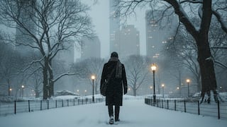 Nueva York bajo aviso de ventisca: qué implica y cómo te afecta la alerta del NWS