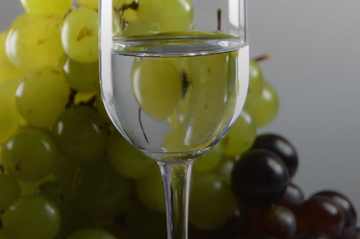 Bodega Viña Vieja contempla ampliación de planta en Ica con nuevo almacén y patio de maniobras. (Foto: @bodegavinavieja).
